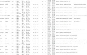 2023亚马逊圣诞季热门关键词集合-35611行-5个子表