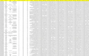 德国站Amazon Top Reviewer 1000强榜单及产品分析-1001行-1个子表