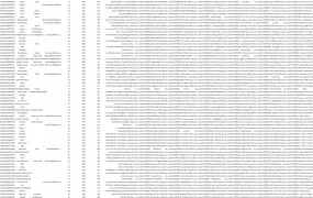 意大利亚马逊Top Reviewer数据汇总-1001行-1个子表