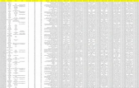 法国站Amazon Top Reviewer 1000名单及产品偏好分析-1001行-1个子表