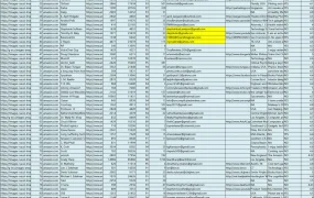 亚马逊美国站Top Reviewer榜单及联系方式-9892行-1个子表