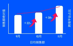 市场趋势｜Ozon 2024旺季家居品类暴涨60%：DIY工具占40%份额，圣诞新品日销增383%
