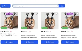 市场趋势｜网络爆梗商品开发指南：短期流量红利【30天】转化策略