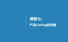 亚马逊产品Listing编辑与优化指南-64页