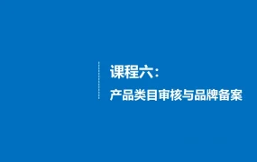 亚马逊产品类目审核与品牌备案实战指南-31页