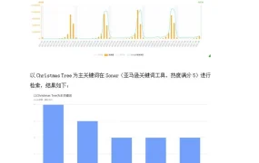 2021年亚马逊美国站圣诞树品类BSR数据深度解析-10页