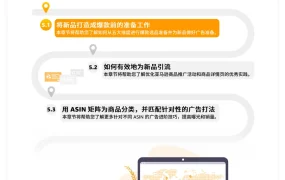 亚马逊新品推爆款总攻略：从选品到广告投放全流程解析-13页