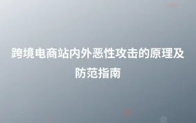 跨境电商站内外恶性攻击的原理及防范指南-1页
