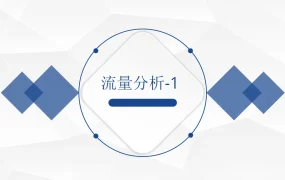 亚马逊流量来源分析与详情页优化策略-11页