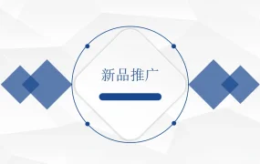 亚马逊新品推广全流程指南-17页