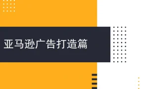 亚马逊广告全周期打法指南-47页