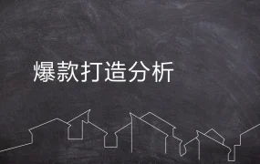 跨境电商爆款打造全攻略-13页