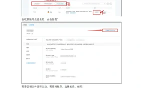 PingPong对账单及银行证明文件申请教程-2页
