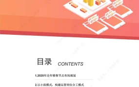 亚马逊大卖全年统筹规划布局指南-10页