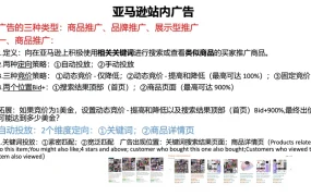 亚马逊广告投放策略与优化指南-12页