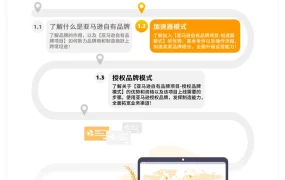 亚马逊加速器模式全攻略-47页