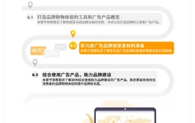 亚马逊广告品牌创意素材准备指南-北美站-9页