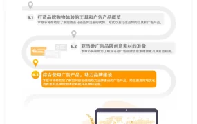 亚马逊品牌广告进阶全攻略-综合使用广告产品助力品牌建设-14页