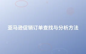 亚马逊促销订单查找与分析方法-1页