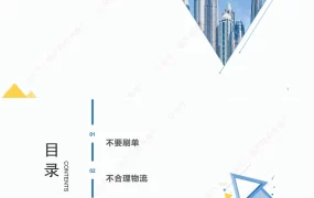 亚马逊卖家避坑指南：从月入十万的实战经验中学习-8页