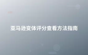 亚马逊变体评分查看方法指南-1页