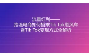TikTok流量红利变现全攻略2025版-108页