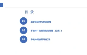 多变体广告2种高效打法指南-22页