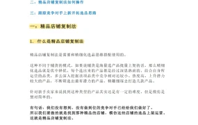 亚马逊精品店铺复制选品法-8页
