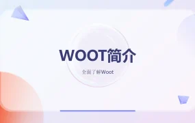 Woot平台跨境电商运营全攻略2023-28页