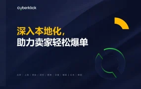 东南亚独立站电商本地化爆单指南-27页