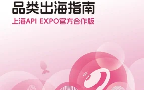2025情趣玩具品类出海指南-78页