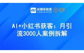 AI小红书获客月引流3000人案例拆解报告-19页