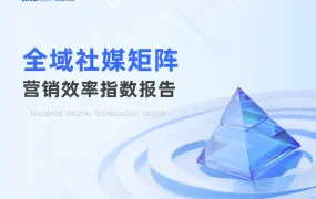 2025全域社媒矩阵营销效率指数报告-42页