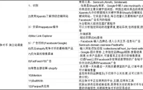 跨境电商独立站竞争对手调查分析指南-17行-1个子表