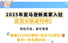 资料发布｜2025新卖家入驻全流程指南
