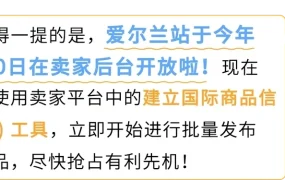 市场趋势｜亚马逊爱尔兰站2025正式上线，中国卖家可享物流成本降低50%