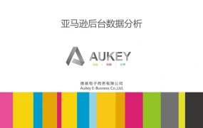 亚马逊后台数据分析指南-16页