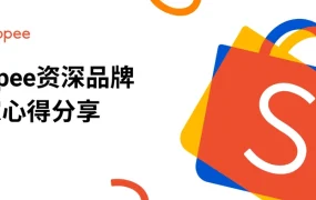 2023Shopee品牌成长峰会FOCALLURE成功经验分享-15页