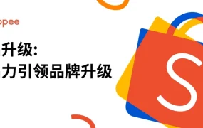 Shopee跨境品牌产品力提升与市场拓展策略-17页