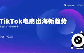 TikTok电商出海新趋势与实战案例解析-34页