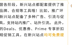 卖家故事｜5位大卖新兴站点Prime会员日爆单【5倍】！0到百万增长全链路秘籍公开