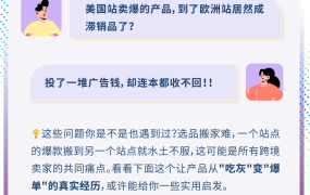 市场趋势｜亚马逊卖家Regan调整选品策略欧洲站月销激增86%