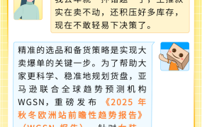 市场趋势｜亚马逊WGSN报告揭秘欧洲秋冬服装选品策略，助卖家精准决策