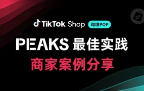 卖家故事｜TikTok Shop美区三大头部商家分享PEAKS增长方法论，黑五GMV飙升【200%】