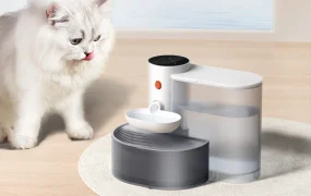 卖家故事｜Petgravity智能宠物饮水机TikTok Shop日销【6万】美金方法论