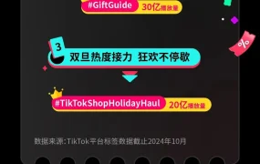 福利信息｜TikTok Shop黑五大促11月14日开启 提供全年高平台支持