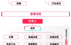 运营指导｜TikTok Shop黑五直播全攻略：从团队搭建到场景布置的完整指南