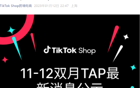 官方资讯｜TikTok Shop公布11-12月优秀TAP服务商榜单及入驻标准