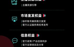 官方资讯｜TikTok Shop公布12月TSP认证服务商名单【116家】机构入围