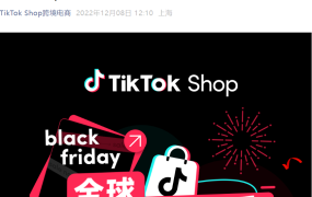 市场趋势｜TikTok Shop黑五大促战报：快消美妆类目领跑，TOP10商家名单公布